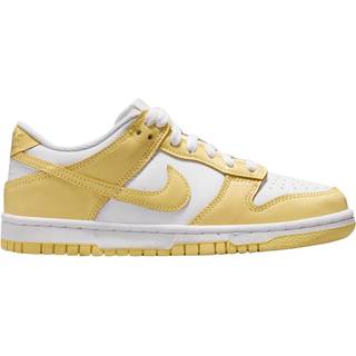 Nike Nike Youth Dunk Low sneakers