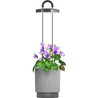 Click & Grow HydroVase plant care kit Grey
