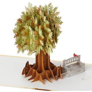 Hallmark Signature Paper Wonder Pop Up Card (her for dig) Tænker på dig Sympati Bliv godt snart