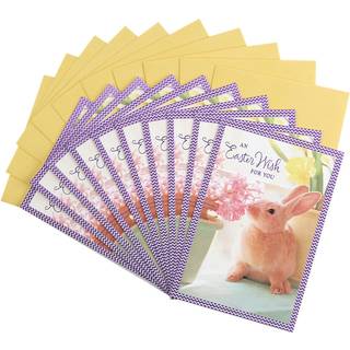 Hallmark Pack of Easter Cards glæder ved foråret (10 kort med konvolutter)