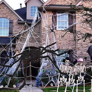 Ocato 200 """" Halloween Spider Web 59 """" Giant Spider Decorations Fake Spider With Triangular enorme edderkopweb til indendørs udendørs Halloween