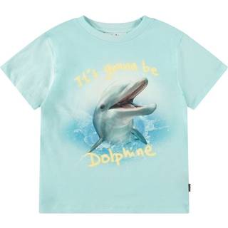 Molo Rame Short Sleeve T-Shirt Dolphine 104cm  Blå  104 cm  mand