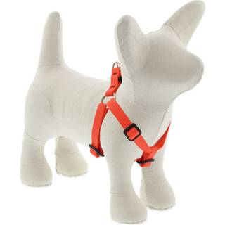 Lupin Extra Small Justerbar Trin i Hundesele 1/2"""" Wide Blaze Orange med 10-13"""" Justerbar Omkreds