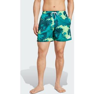 Tie-Dye 5-Inch badeshorts - Aurora Ivy / White - L