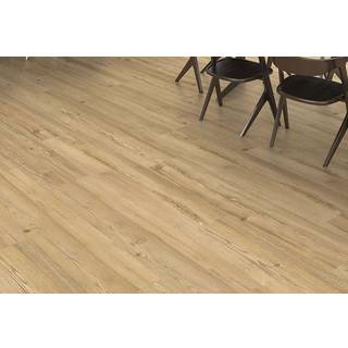 HARO Disano Project - Bjerglærk puro