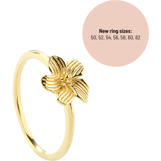 Ring | JASMIN str 62