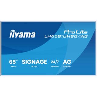 IIYAMA 65" Gallery Line with