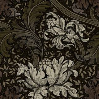 Morris Major - LB25140