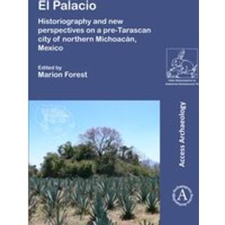 El Palacio: Historiography and new perspectives on a pre-Tarascan city of northern Michoacan, Mexico