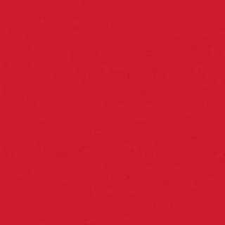 Fotokarton A4 300g/m² 50 Blatt - Hochrot