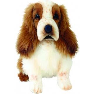 Cocker spaniel hvalp 12''l