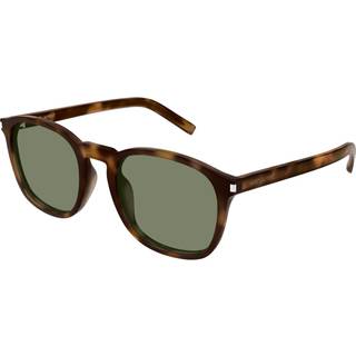 SAINT LAURENT Kvinde SL 818 002 Solbriller Acetat Havana Grøn Rund