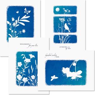 Indtryk af sympati lyk?nskningskort - S?t med 8 (4 design) Store 5 """" X 7 """" Sympati -kort med f?lelser inde i hvide konvolutter inkluderer