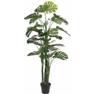 Dekorativ plante DKD Home Decor Polypropylen (PP) EVA (90 x 90 x 200 cm)