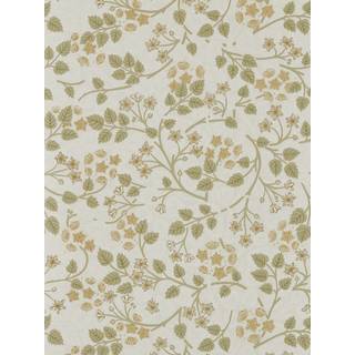 Silver Lime Lichen - DHIP217515