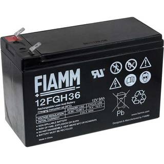 FIAMM BlyBatteri 12FGH36 (High Rate)