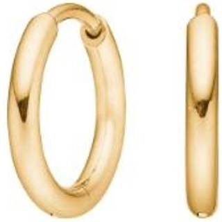 Pure Titanium Nikkelfri hoops i forgyldt titanium - 10 mm