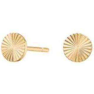 Pure Titanium Øreringe i forgyldt titanium med cirkler