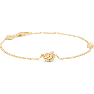 Studio Z Seashell Secrets armbånd i forgyldt