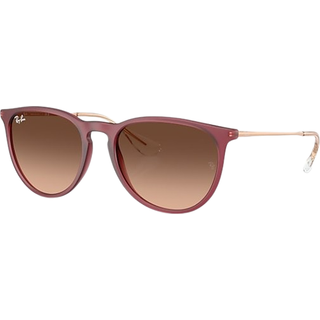 Ray - Ban Kvinde RB4171 ERIKA 6815A5 Solbriller Nylon Violet Rosa Pantos Normal Skygge