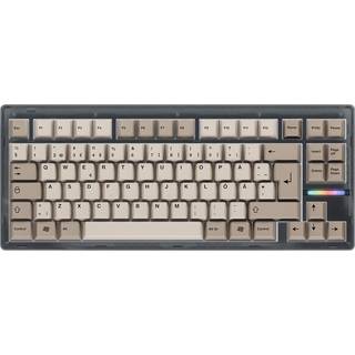 Wooting 80HE Ghost ISO + Retro Keycaps