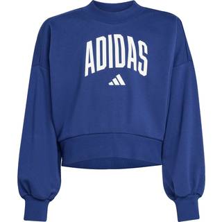 adidas adidas Blue Sweatshirt