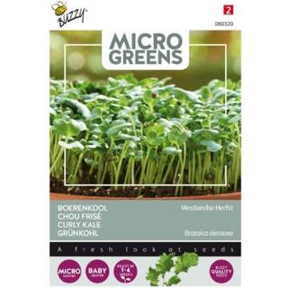 Microgreens - Grønkål Westland efterår