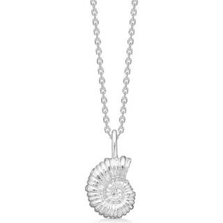 Studio Z Seashell Secrets halskæde i sølv