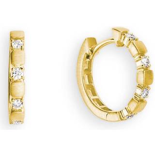 Palido Creolen - S5859G - gold