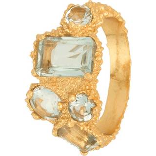 House of Vincent Pond Ring Forgyldt Sølv VJ230-URG-GA-52 - Dame - Sten