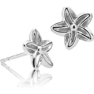 Izabel Camille Rosalina øreringe A1855SWS