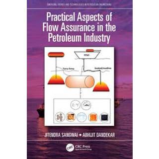 Practical Aspects of Flow Assurance in the Petroleum Industry