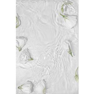 Venture Design White roses poster 21 x 30 cm Hvid
