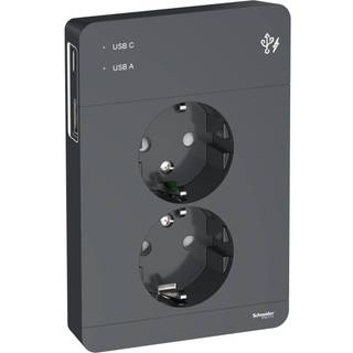 Schneider Electric Exxact Jordet vægudtag med USB-porte - Sort