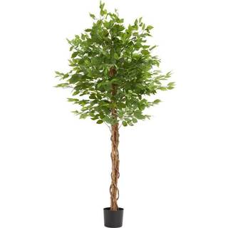 Kunstigt ficustræ Fida, realistisk tekstur - 180 cm