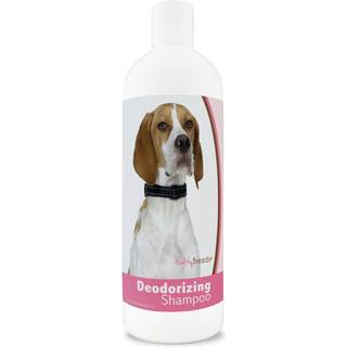 Sunde racer Engelsk Pointer Deodorizing Shampoo 16 Oz