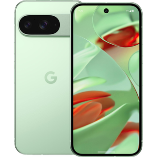 Google Pixel 9 5G smartphone 12/128GB (Wintergreen) - På lager i butik