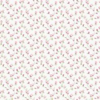 Mini Magnolia - G68723