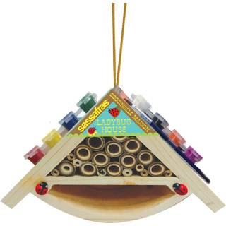 Sassafras maler dit eget- Ladybug House