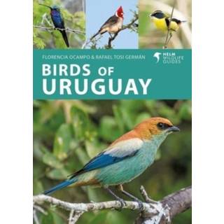 Birds of Uruguay