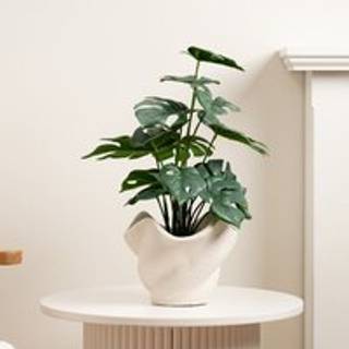 Scottish Everlastings Ltd Scottish Everlastings Ltd Kunstig Broget Monstera i Cementpotte