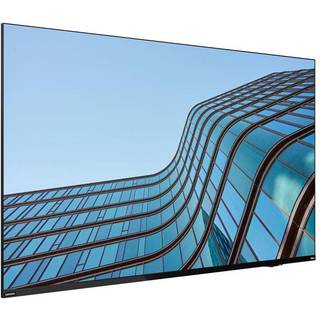 LENOVO ThinkVision E55 LFD