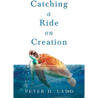 Catching a Ride on Creation