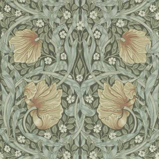 Pimpernel Bayleaf/Manilla - 210388
