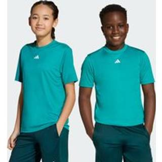 Train Essentials Logo Regular Fit Kids T-shirt - Pure Teal / White - 176