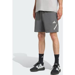 Mercedes - AMG Petronas Formel 1 hold Silver Arrows shorts - Grey Five - XL