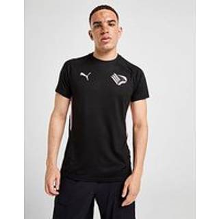 PUMA Palermo FC Evostripe T-Shirt, Black - XL