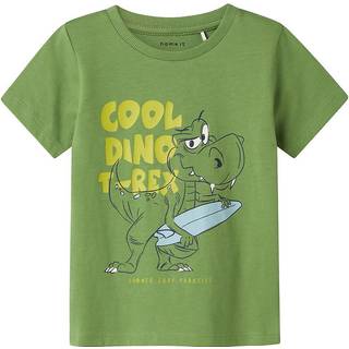 NAME IT T-shirt Karlton Epsom