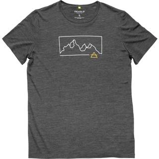 Devold Active Outline Tee Merino-shirt Herrer størrelse M farve grå