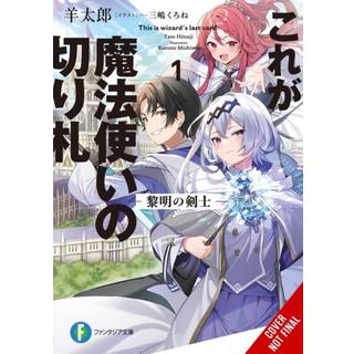 This Is the Wizard’s Secret Weapon, Vol. 1 (light novel)